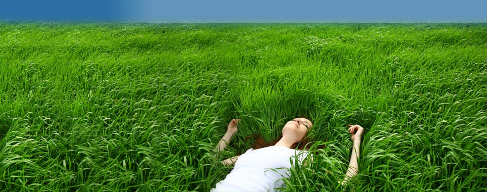 Forti e Serene : vivere in compagnia